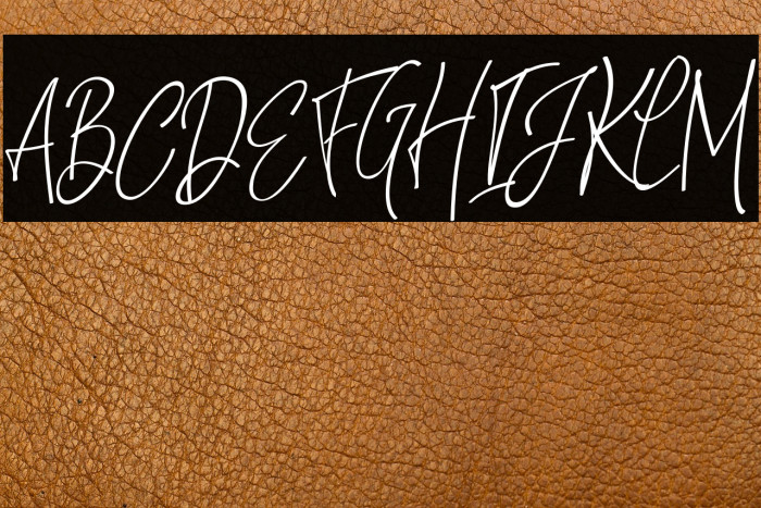 NatthalieSignature Example 2