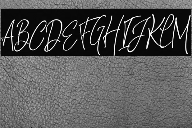 NatthalieSignature Font examples