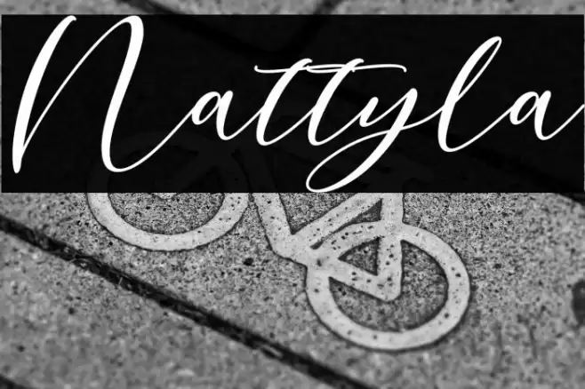 Nattyla Font examples