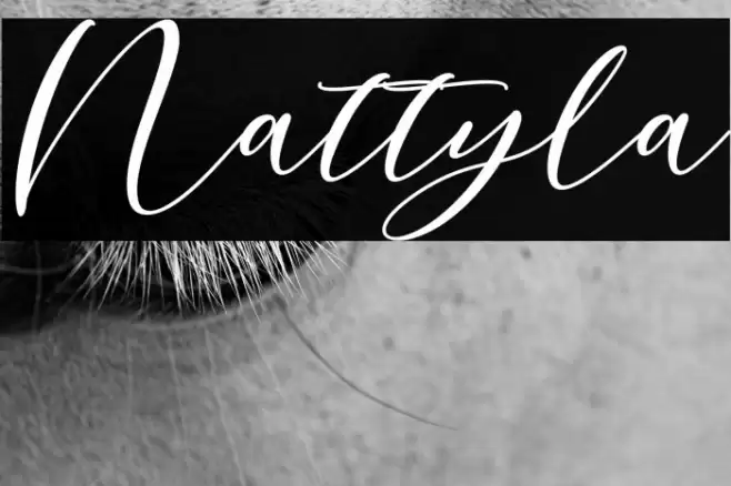 Nattyla Font examples