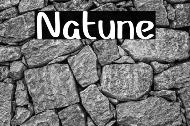 Natune Example 1