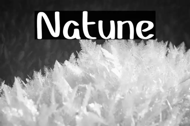 Natune Example 2