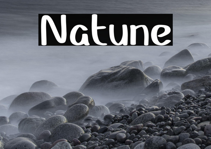 Natune Example 3