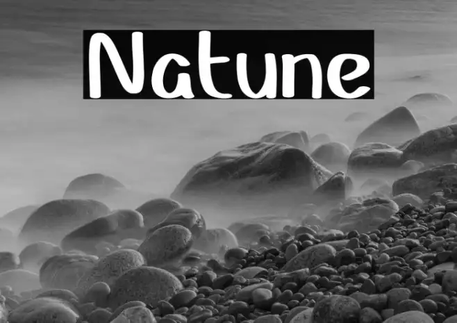 Natune Example 3