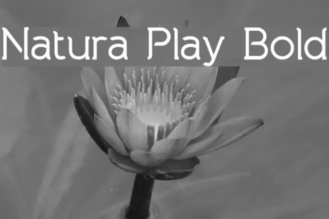 Natura Play Bold Font examples