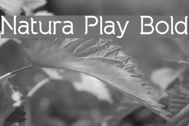 Natura Play Bold Font examples