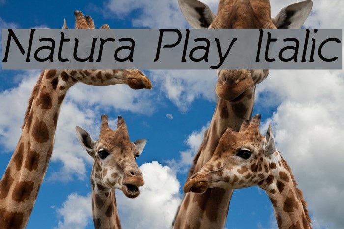 Natura Play Italic Font examples