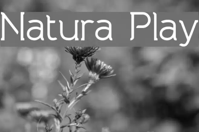 Natura Play Font examples