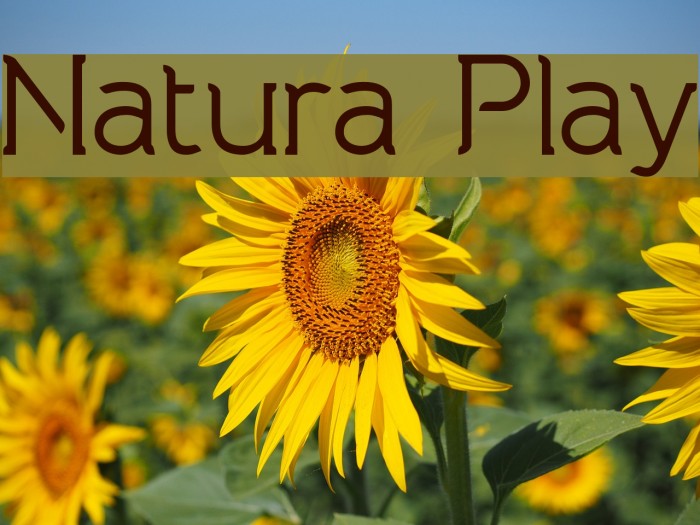 Natura Play Font examples