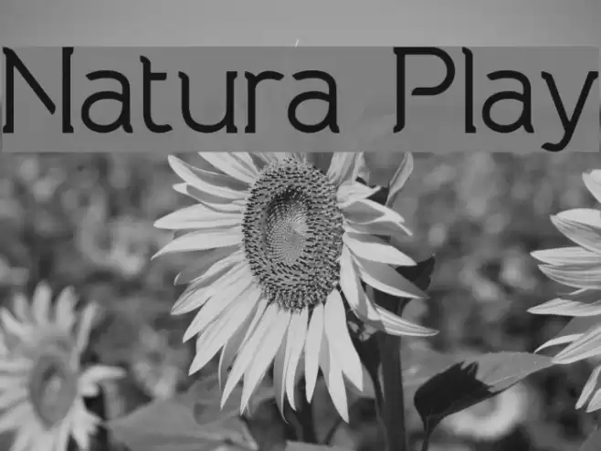 Natura Play Font examples