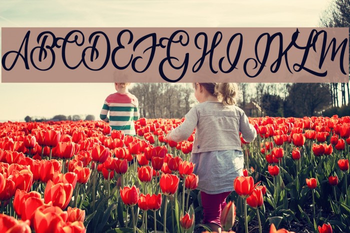 Natural Beauty Personal Use Regular Font examples