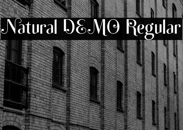 Natural DEMO Regular Example 2