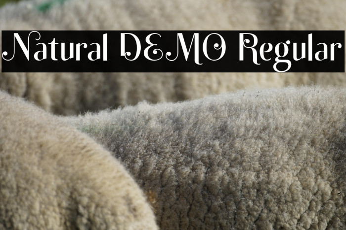 Natural DEMO Regular Example 3