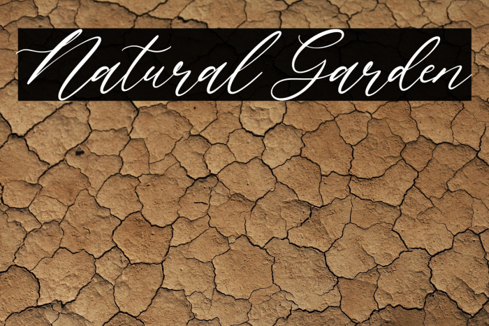 Natural Garden Example 1