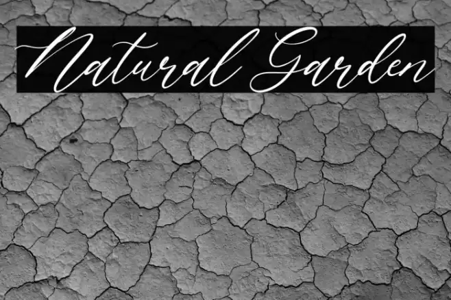 Natural Garden Font examples