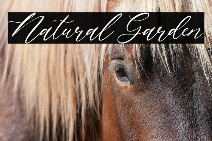 Natural Garden Example 3