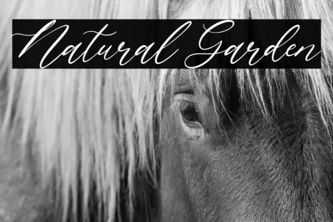 Natural Garden Font examples