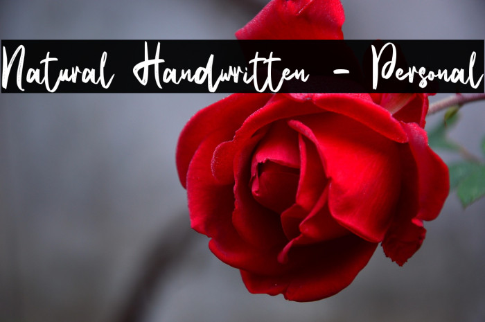 Natural Handwritten - Personal Example 1