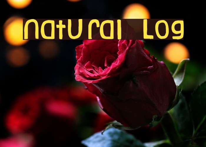 Natural Log Font examples