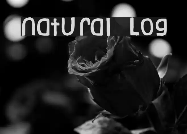 Natural Log Font examples