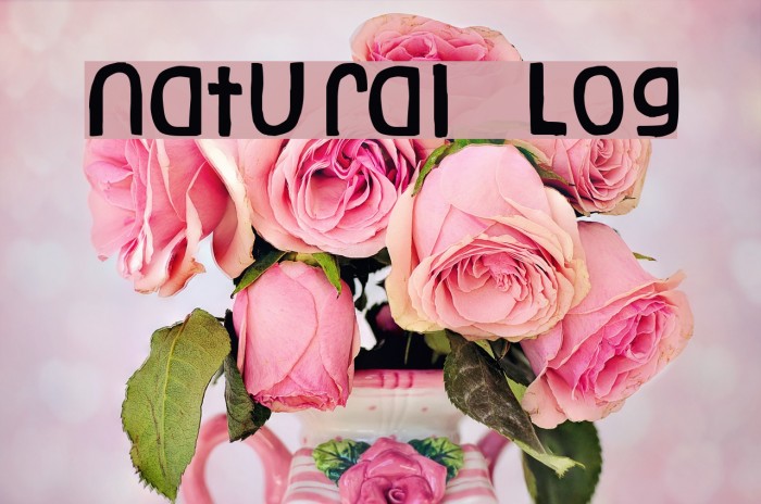 Natural Log Font examples