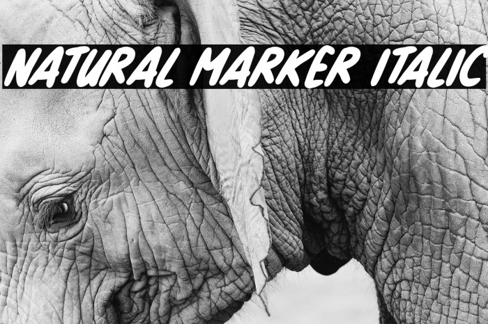Natural Marker Italic फ़ॉन्ट examples