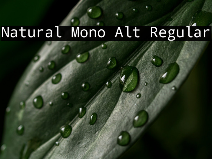 Natural Mono Alt Regular Example 1