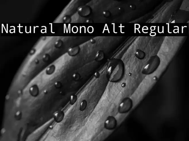 Natural Mono Alt Regular Font examples
