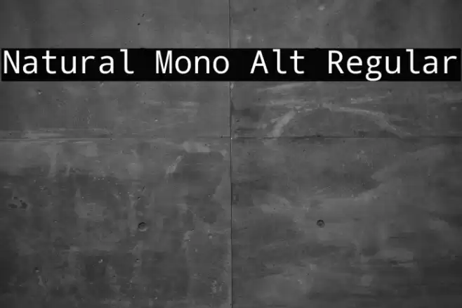 Natural Mono Alt Regular Font examples