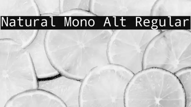 Natural Mono Alt Regular Font examples