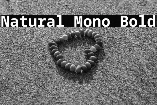 Natural Mono Bold Font examples