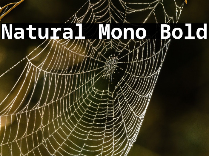 Natural Mono Bold Example 3