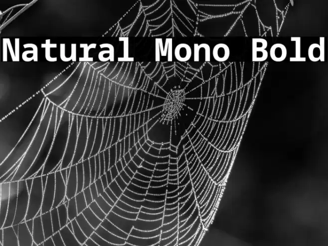 Natural Mono Bold Font examples