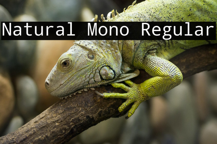 Natural Mono Regular Example 1