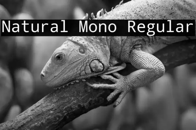 Natural Mono Regular फ़ॉन्ट examples