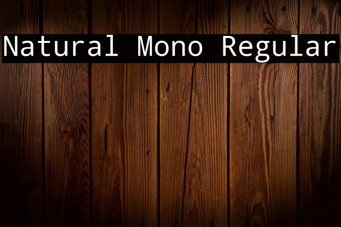 Natural Mono Regular Example 2