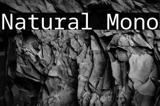 Natural Mono Font examples