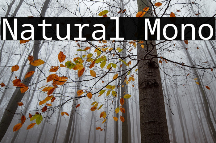 Natural Mono Example 2