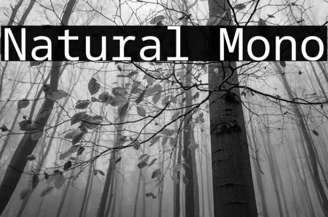 Natural Mono Font examples