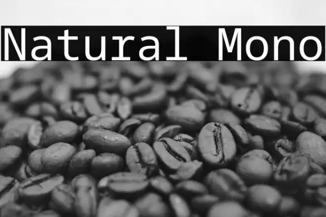 Natural Mono Font examples