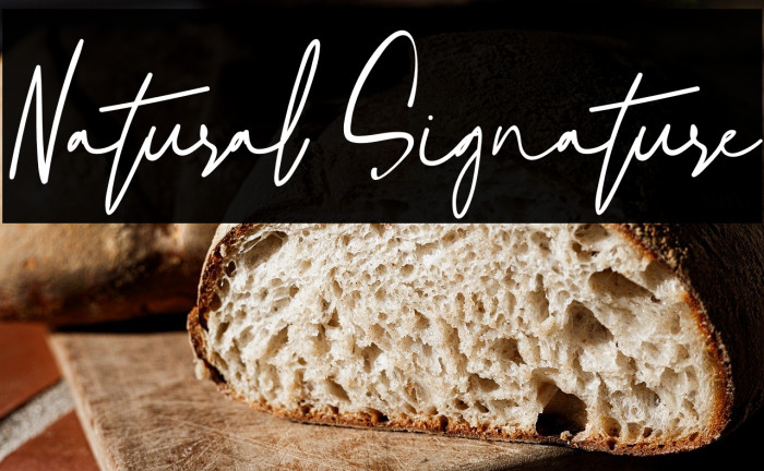 Natural Signature Example 2