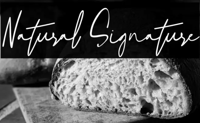 Natural Signature Example 2