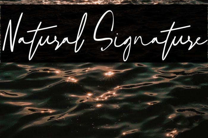 Natural Signature Example 3