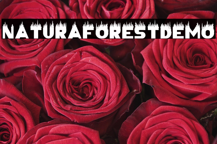 NaturalForestDemo Example 2