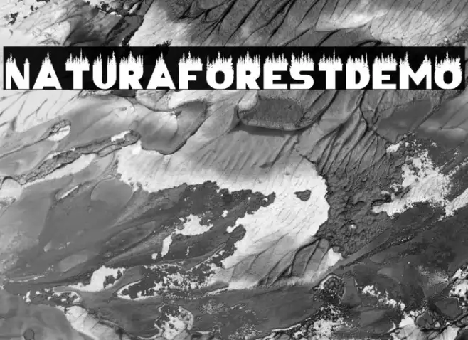 NaturalForestDemo Example 3