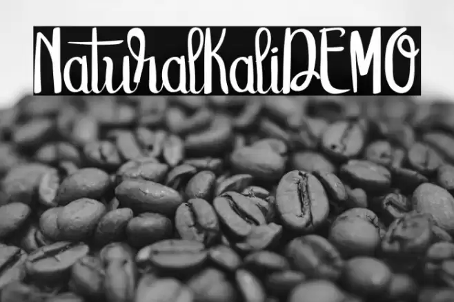 NaturalKaliDEMO Font examples