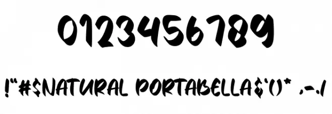 NaturalPortabella Font OTHER CHARS