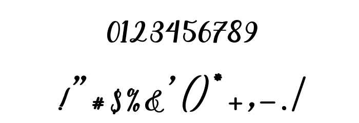 NaturalScript Font OTHER CHARS