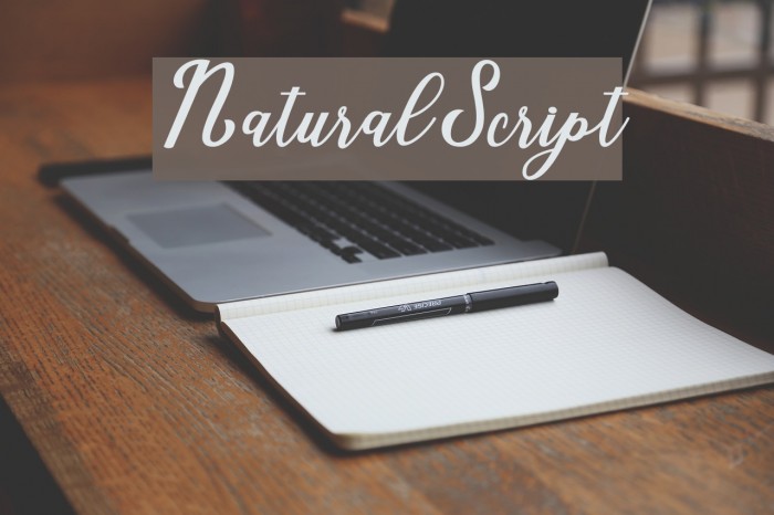NaturalScript Font examples
