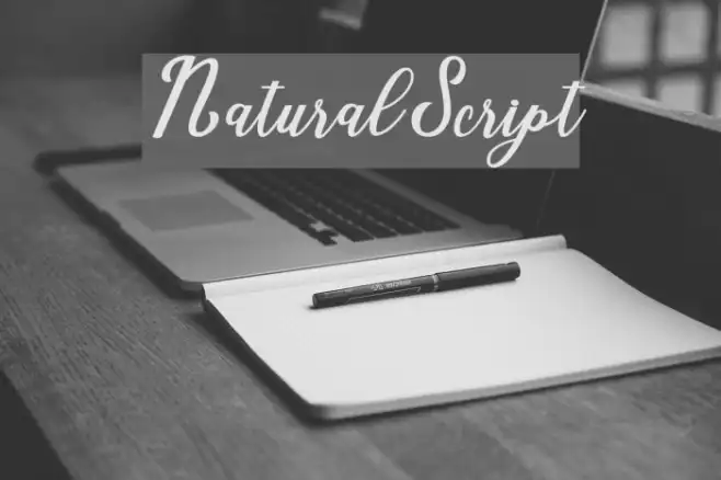 NaturalScript Example 2